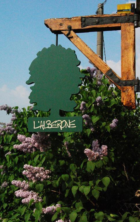 Bed & Breakfast L'alberone *